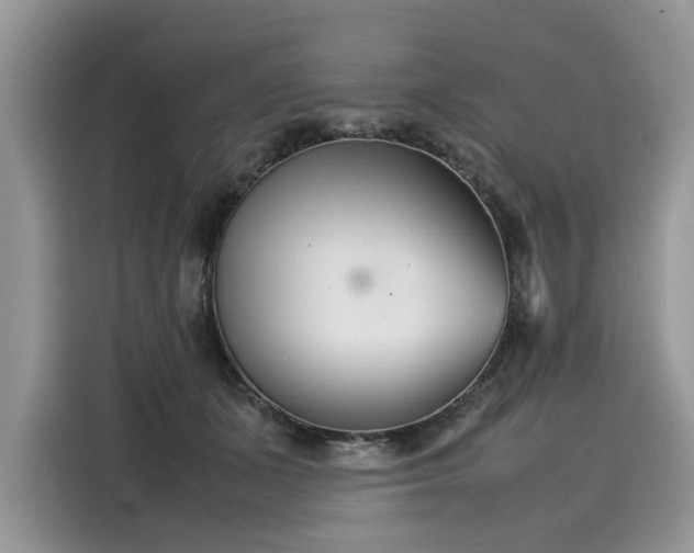 X0000116270511200911301216