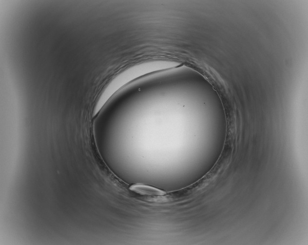 X0000116270513200911301216