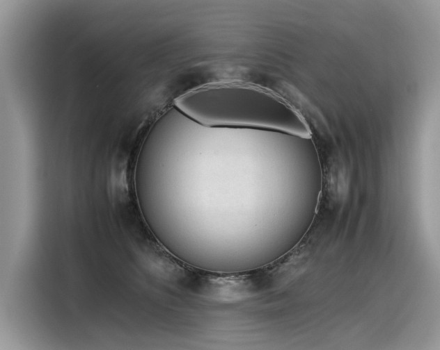 X0000116270516200911301216