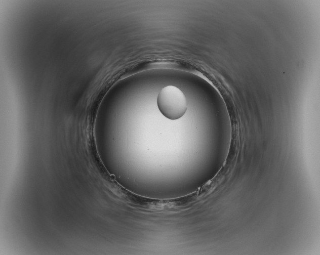 X0000116270517200911301216