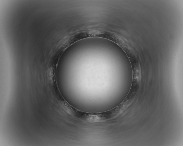 X0000116270519200911301216