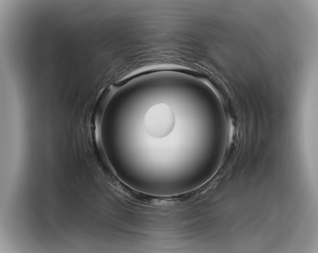 X0000116270520200911301216