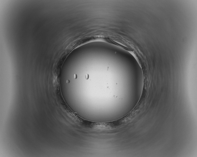 X0000116270521200911301216