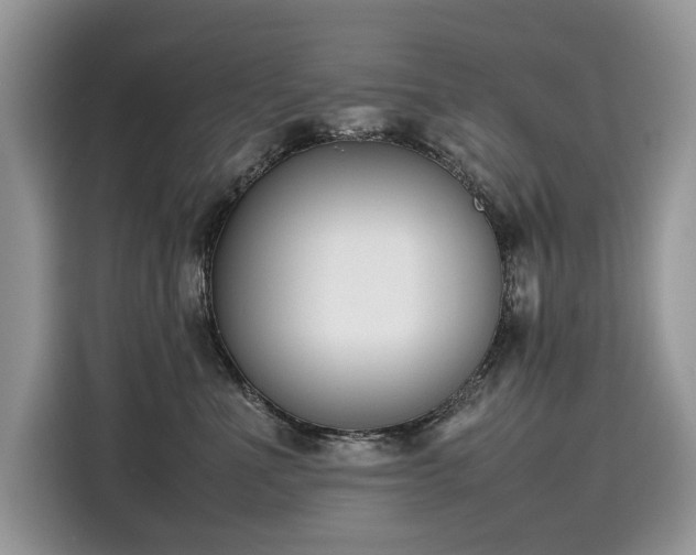 X0000116270523200911301216