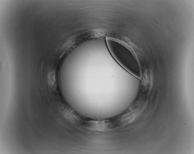 X0000116270524200911301216