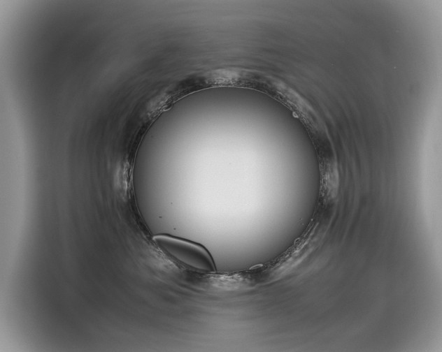 X0000116270525200911301216