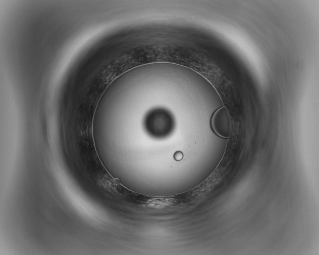 X0000116270526200911301216