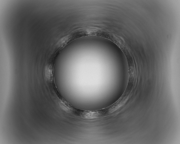 X0000116270527200911301216