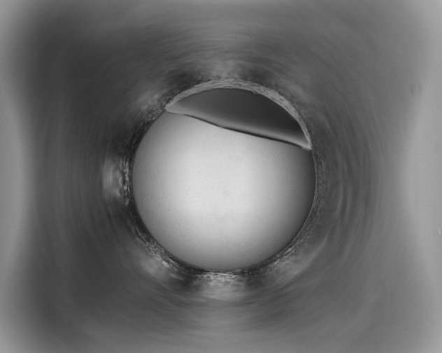 X0000116270528200911301216