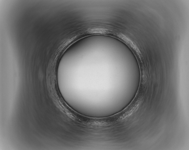 X0000116270529200911301215