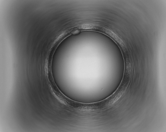 X0000116270530200911301215