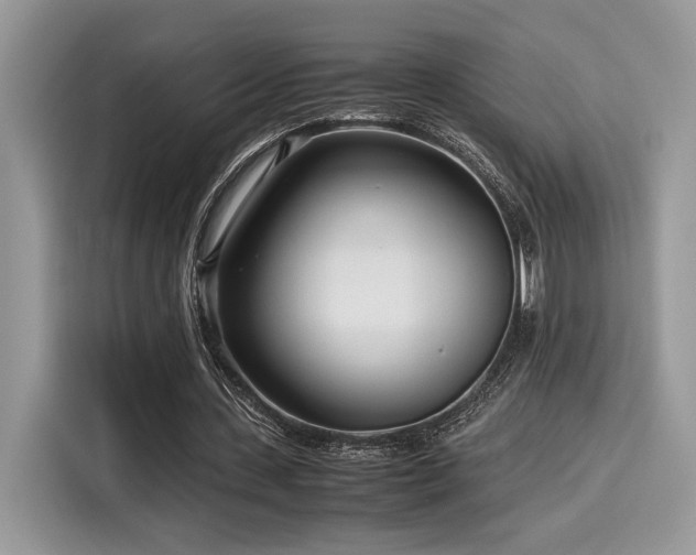 X0000116270531200911301215
