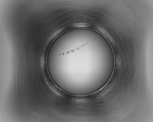 X0000116270533200911301215