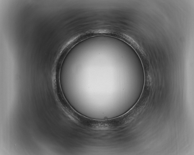 X0000116270535200911301215