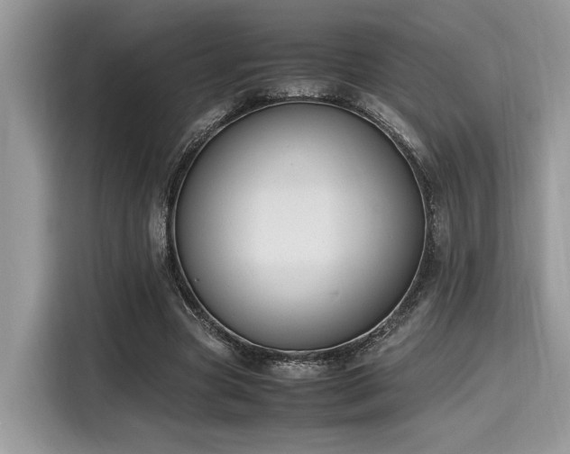 X0000116270537200911301215