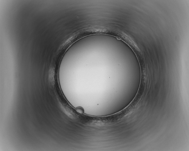 X0000116270538200911301215