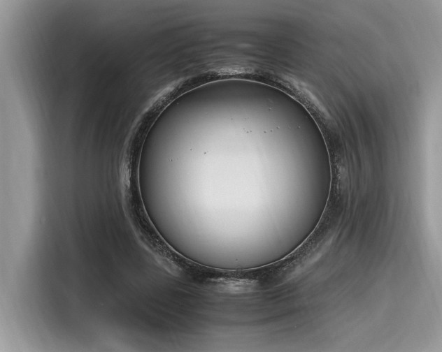 X0000116270539200911301215