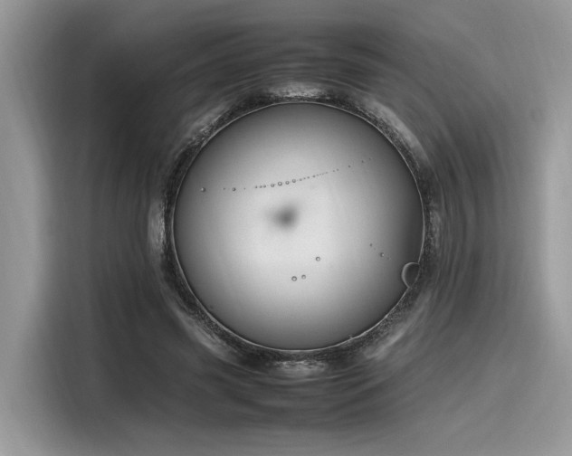 X0000116270541200911301215