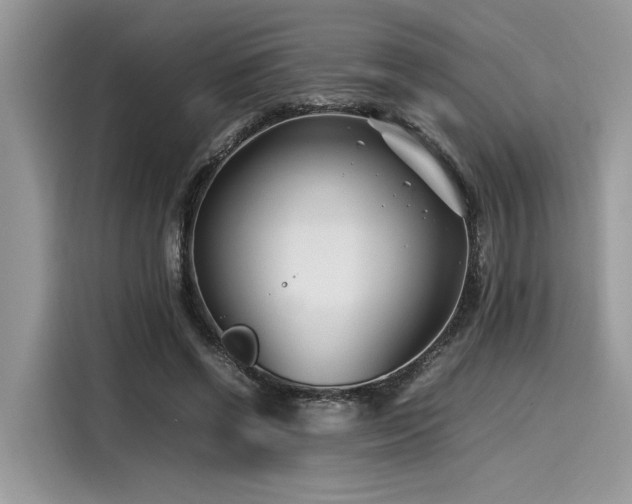 X0000116270542200911301215