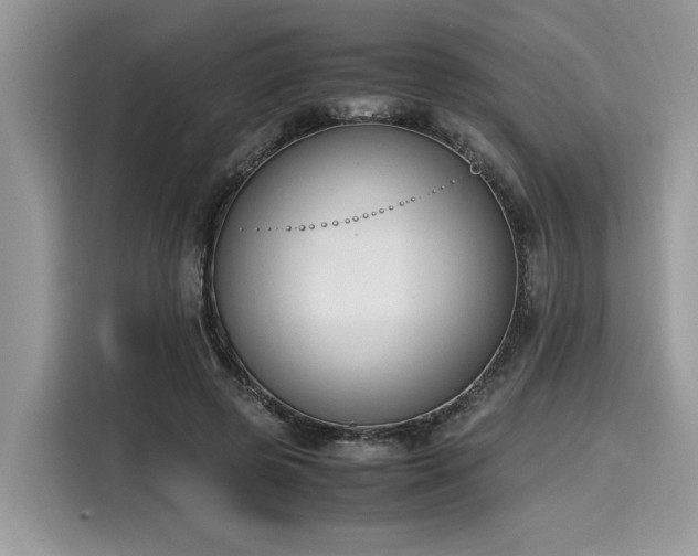 X0000116270545200911301215