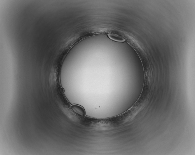 X0000116270546200911301215