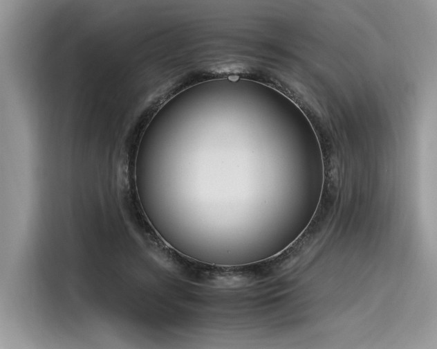 X0000116270547200911301215