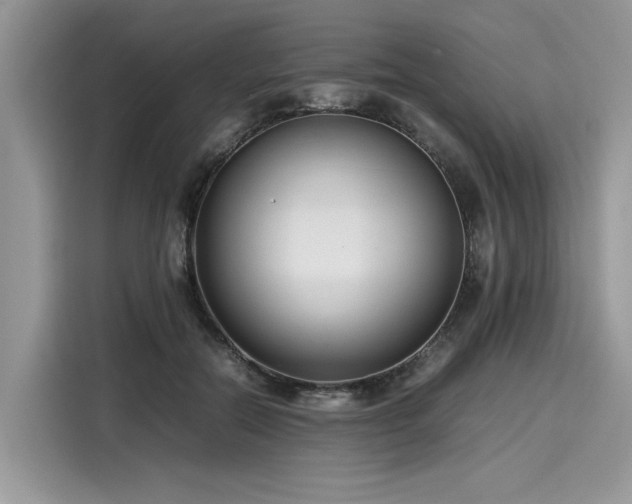 X0000116270554200911301215