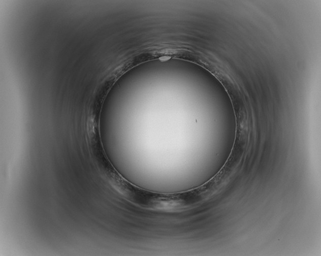 X0000116270555200911301215