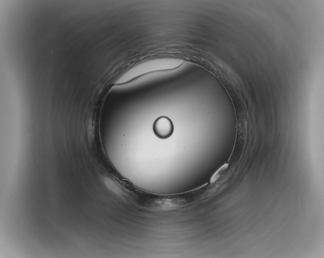 X0000116270558200911301215