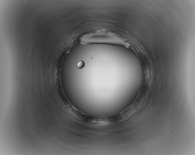 X0000116270559200911301215