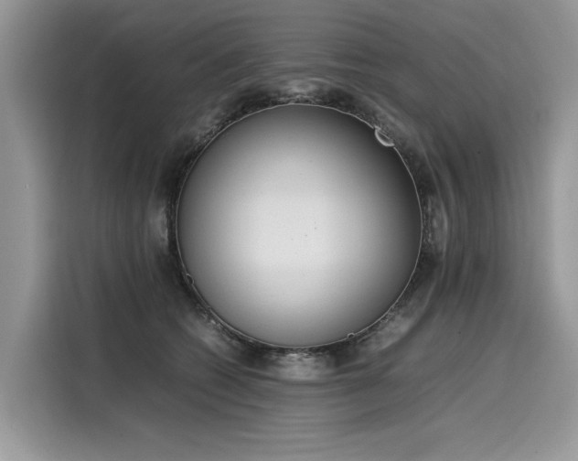 X0000116270562200911301215