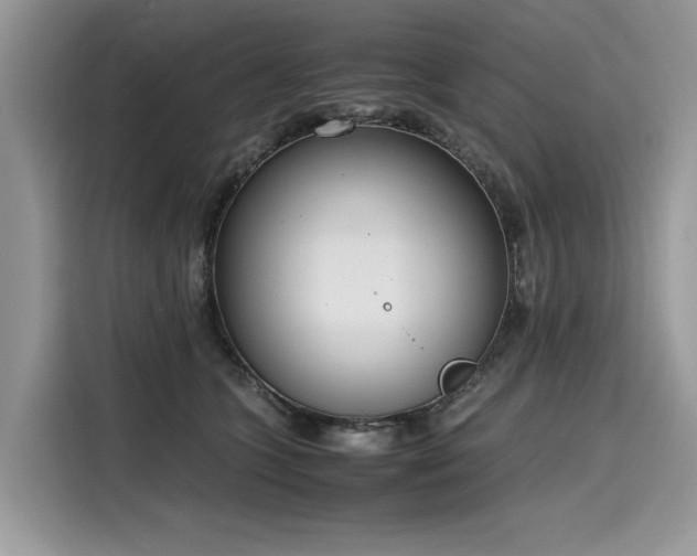 X0000116270563200911301215
