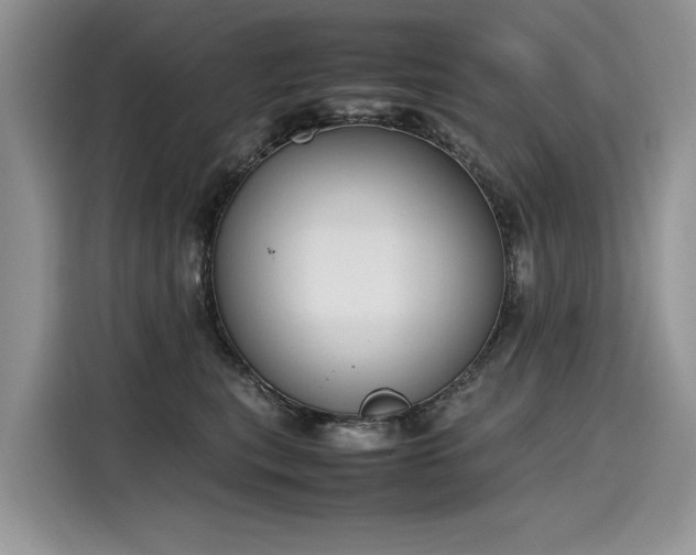 X0000116270567200911301215