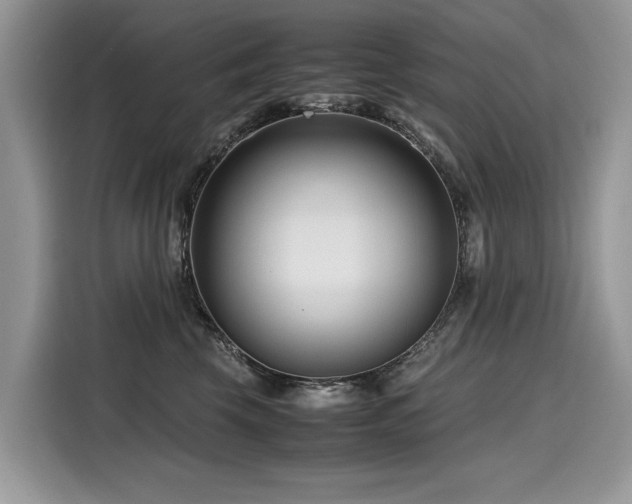 X0000116270569200911301216