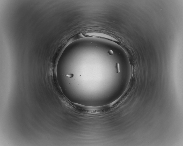 X0000116270570200911301216