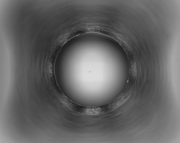 X0000116270571200911301216