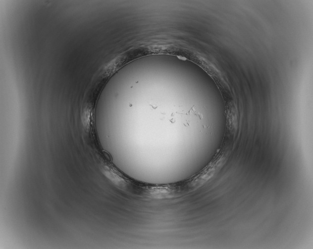 X0000116270574200911301216