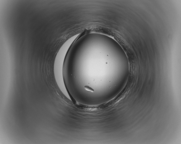 X0000116270575200911301216