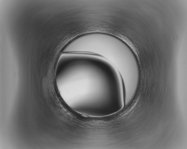 X0000116270577200911301215