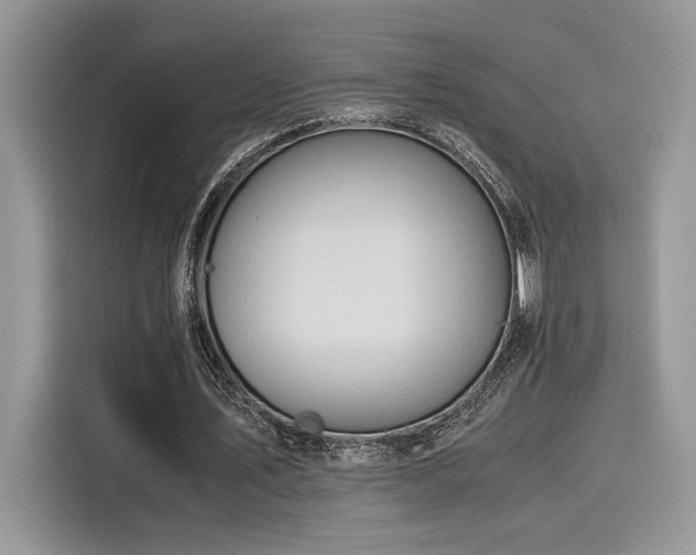 X0000116270579200911301215