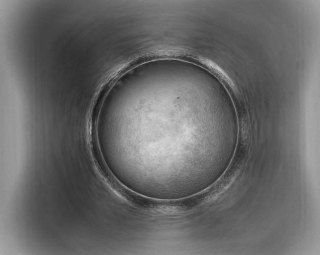 X0000116270581200911301215