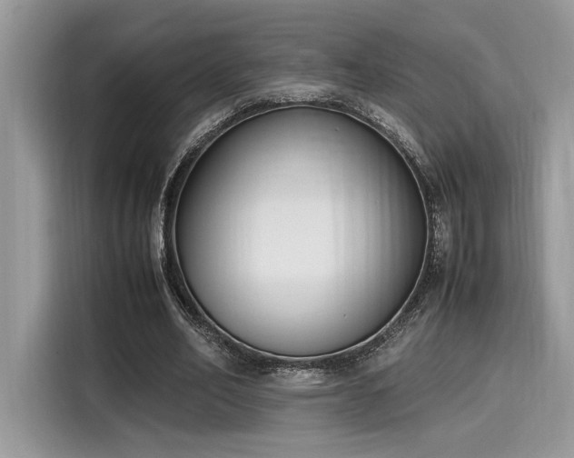 X0000116270582200911301215