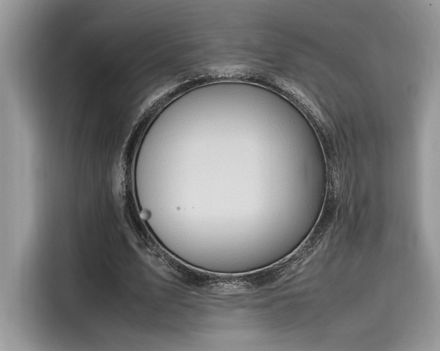 X0000116270583200911301215