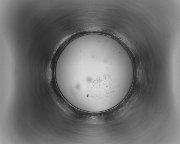 X0000116270584200911301215
