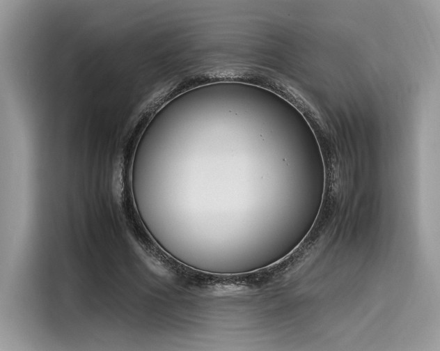 X0000116270586200911301215
