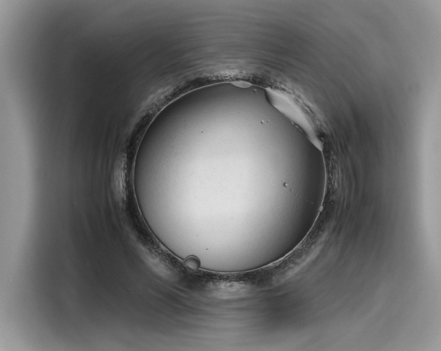 X0000116270590200911301215