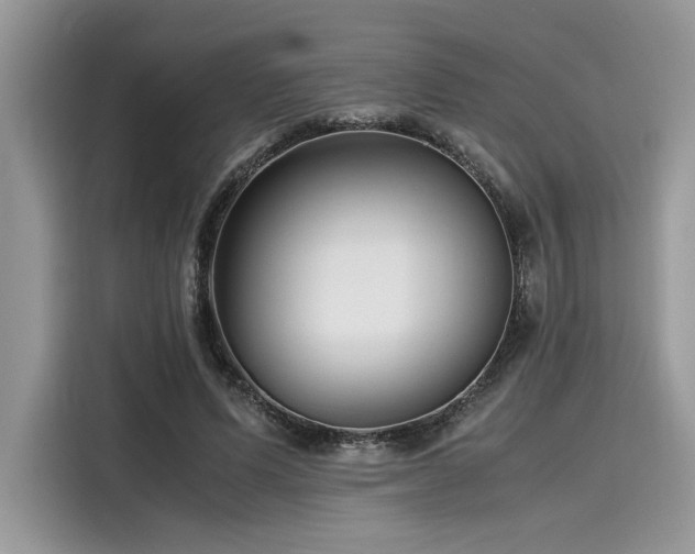 X0000116270591200911301215
