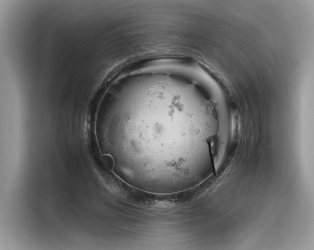 X0000116270592200911301215