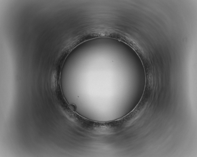X0000116270594200911301215