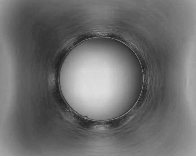 X0000116270595200911301215